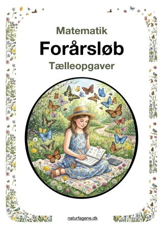 Illustration til undervisningsforløbet om Matematik Forårsløb